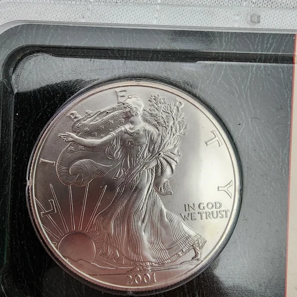 2001 Silver American Eagle Coin One Dollar - Picture 2 of 4